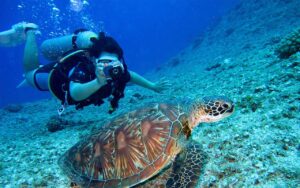 Buceo en Benidorm